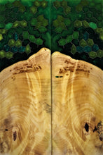 Load image into Gallery viewer, Buckeye Burl &amp; Aluminum Honeycomb Custom Knife Scales #23186
