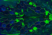 Load image into Gallery viewer, Aluminum Honeycomb and Urethane Resin Custom Knife Scales #24093