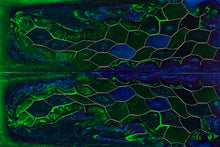 Load image into Gallery viewer, Aluminum Honeycomb and Urethane Resin Custom Knife Scales #25111